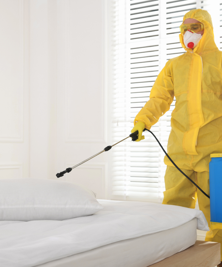 Professional Pest Control Team in Hillbank